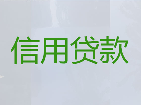 启东贷款中介-抵押担保贷款